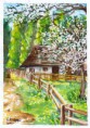 /album/galeria-krajiny/a2010-spring-aa-jpg3/